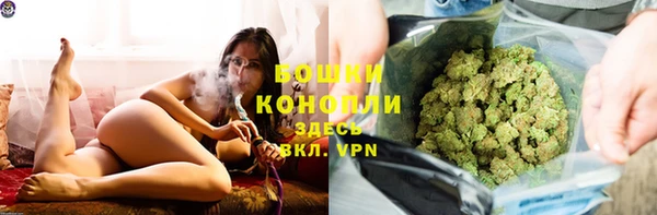 первитин Новодвинск