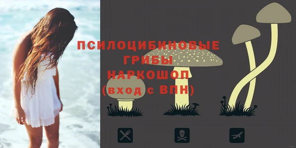 первитин Новодвинск