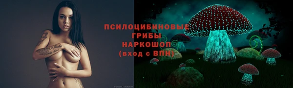 первитин Новодвинск