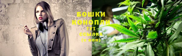 каннабис Новокубанск