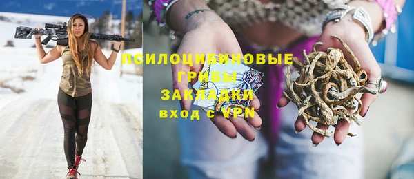 марихуана Новозыбков