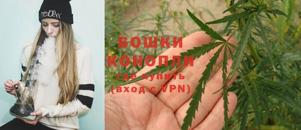 первитин Новодвинск