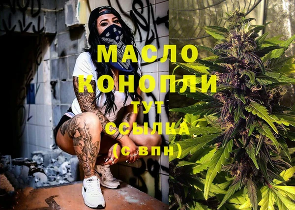 первитин Новодвинск
